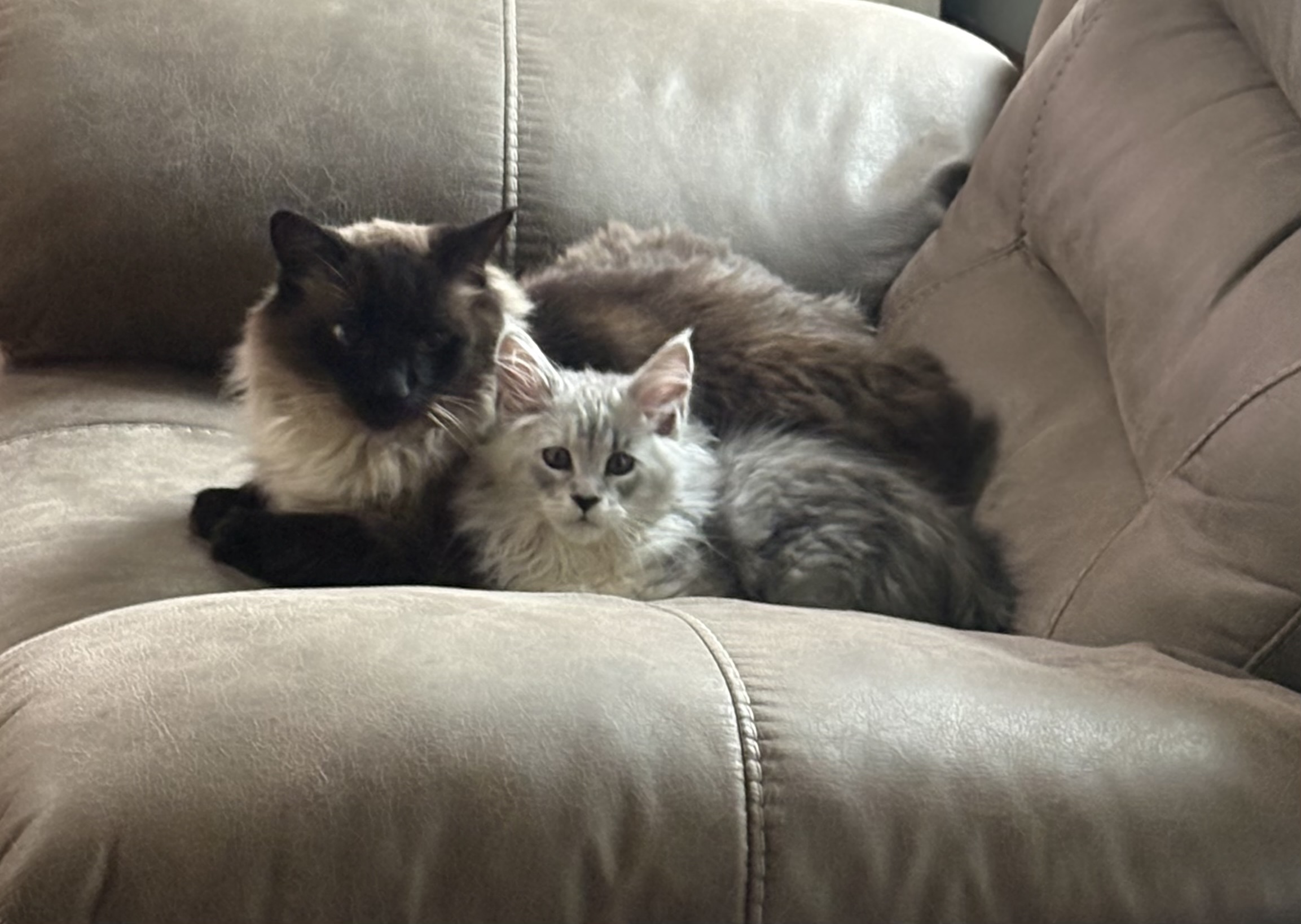 Review photo from Rhonda & Jim Piatt